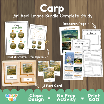 Carp 3-in-1 real image bundle complete study cover showing cut and paste life cycle, 3 part cards, and research pages
