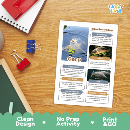 Carp Animal Research Page and Worksheets