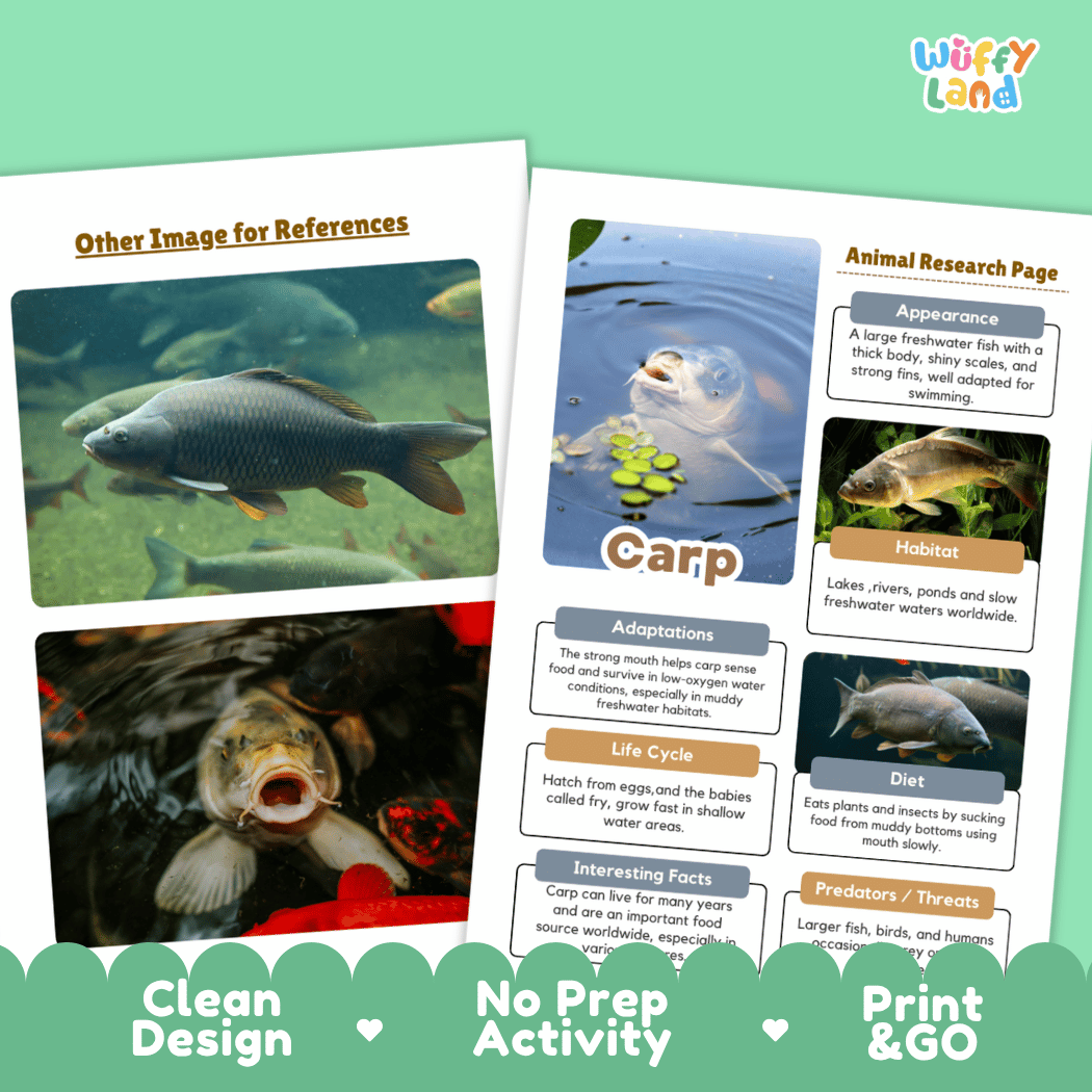 Carp Animal Research Page and Worksheets