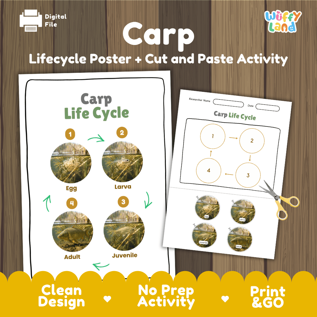 Carp Life Cycle Poster and Cut and Paste Worksheet Activity