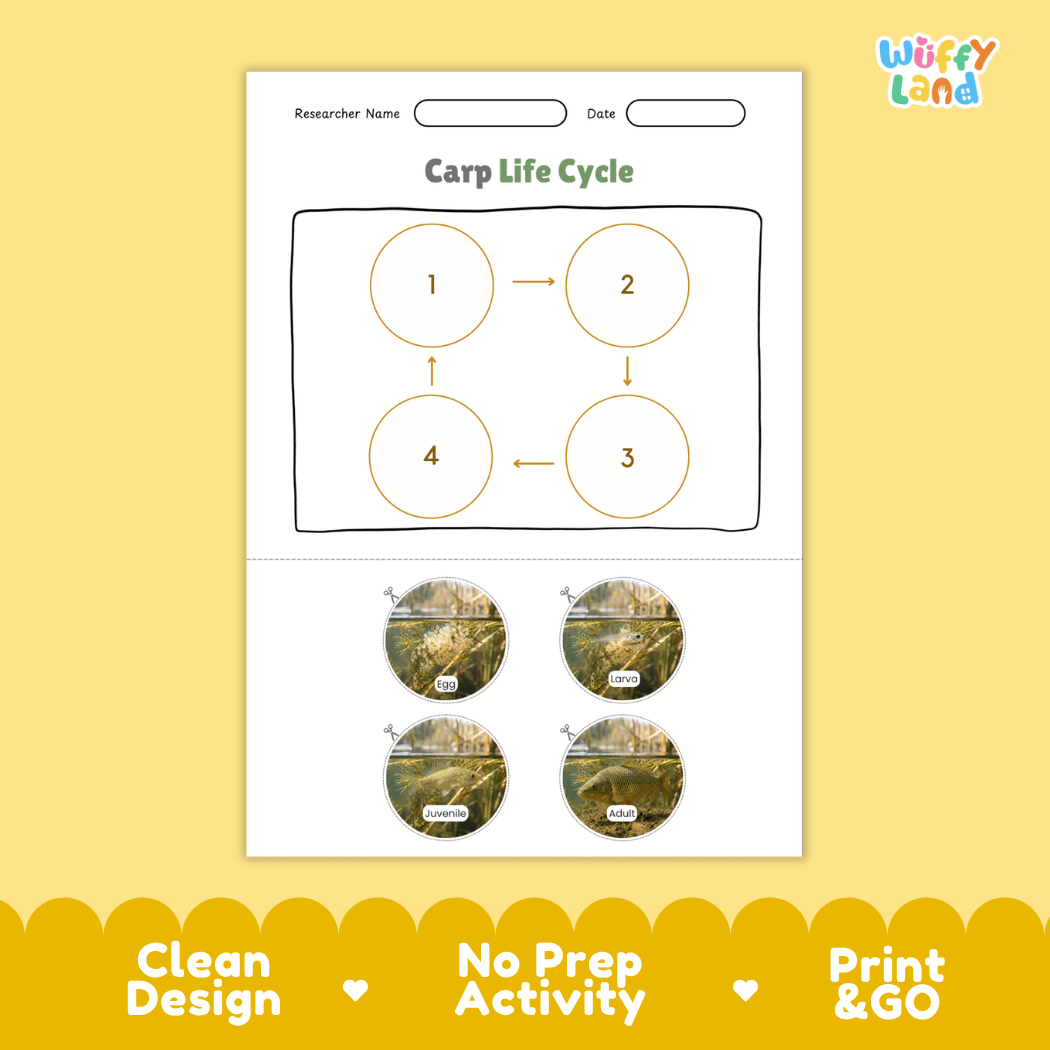 Carp Life Cycle Poster and Cut and Paste Worksheet Activity