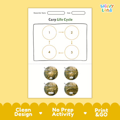 Carp Life Cycle Poster and Cut and Paste Worksheet Activity