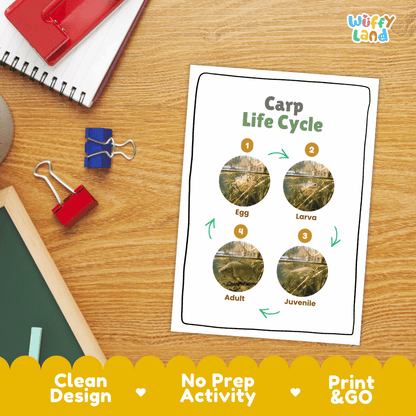 Carp Life Cycle Poster and Cut and Paste Worksheet Activity