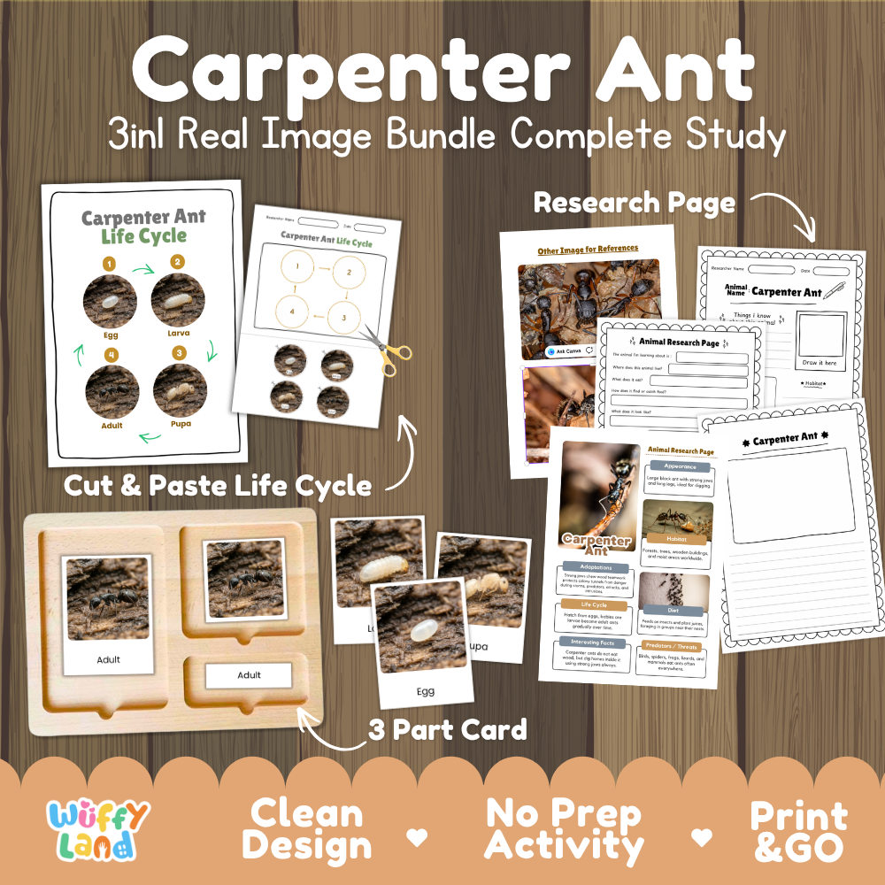 Carpenter Ant 3-in-1 real image bundle complete study cover showing cut and paste life cycle, 3 part cards, and research pages