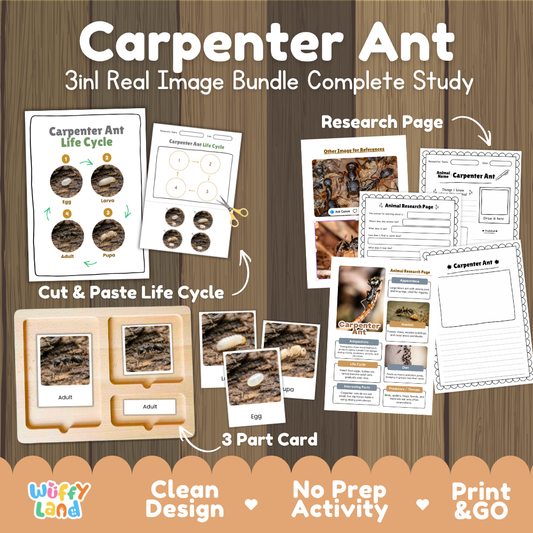 Carpenter Ant 3-in-1 real image bundle complete study cover showing cut and paste life cycle, 3 part cards, and research pages