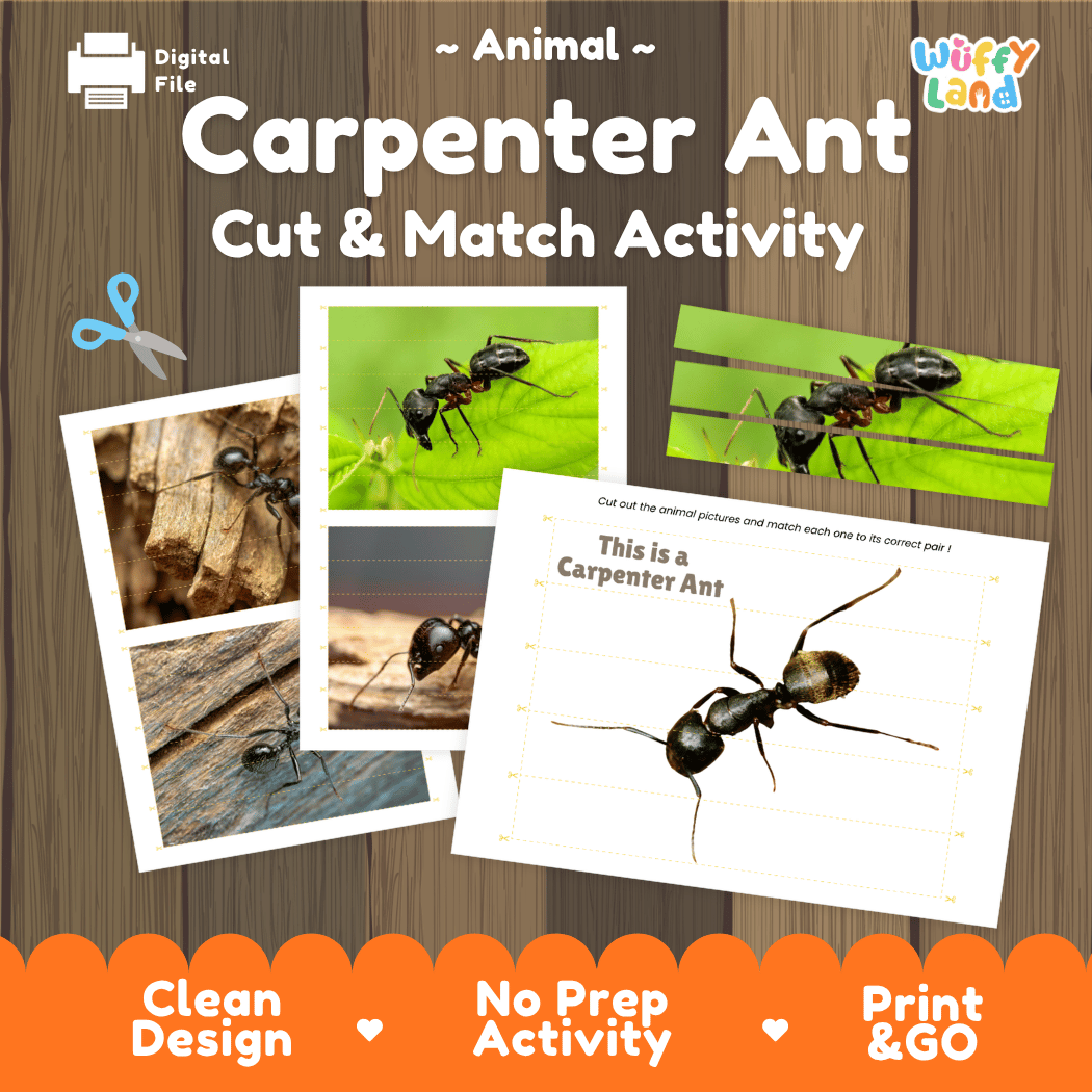 Carpenter Ant Cut and Match Activity Printables Worksheets