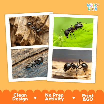Carpenter Ant Cut and Match Activity Printables Worksheets