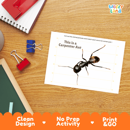 Carpenter Ant Cut and Match Activity Printables Worksheets