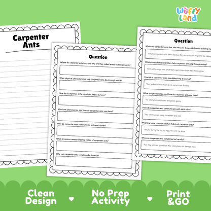 Three printable worksheet pages for a carpenter ant activity are shown on a bright green background with marketing text reading 'Clean Design', 'No Prep Activity', and 'Print & GO'. The worksheets have black text and lined writing areas with decorative scalloped borders.