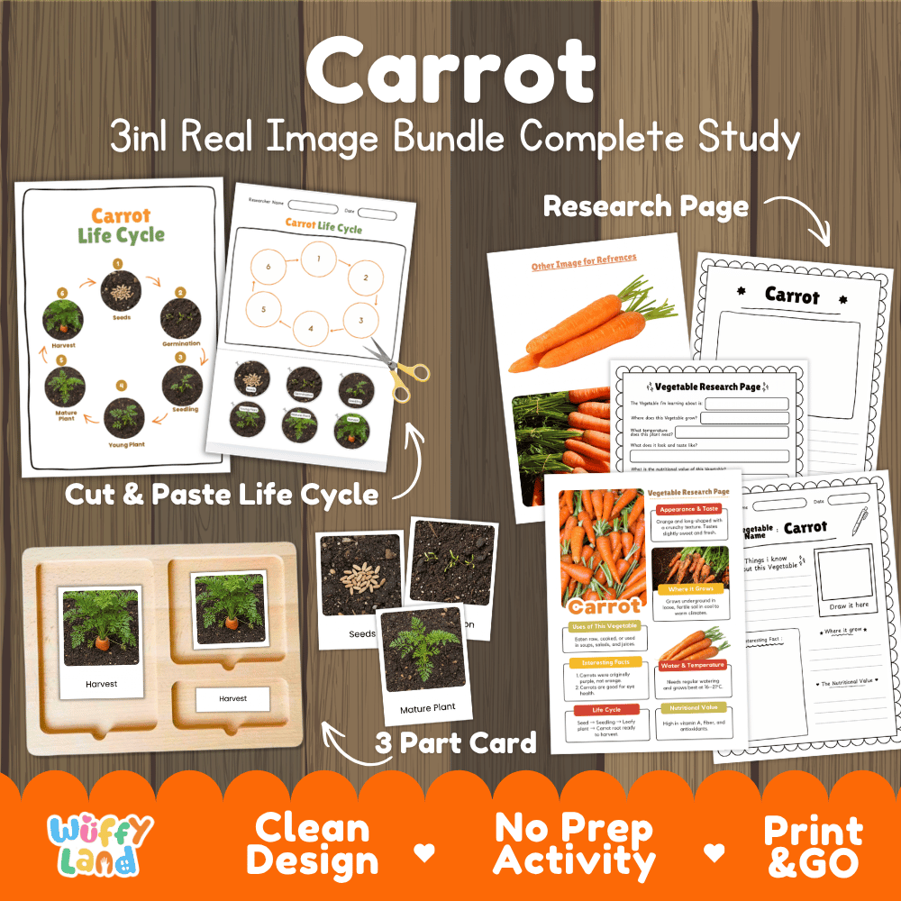 Carrot 3in1 real image bundle complete study printable featuring life cycle cut and paste worksheets, Montessori 3-part cards, and research pages