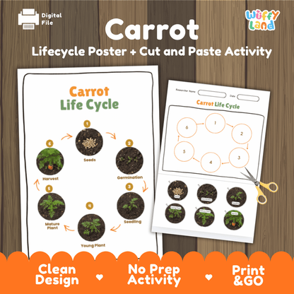 Carrot Life Cycle Poster and Cut and Paste Activity Plant Science Printable