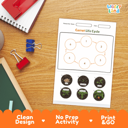 Carrot Life Cycle Poster and Cut and Paste Activity Plant Science Printable