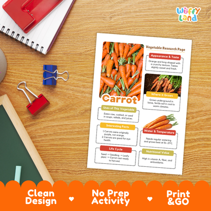 Carrot Vegetable Research Project Worksheets and Fact Sheet