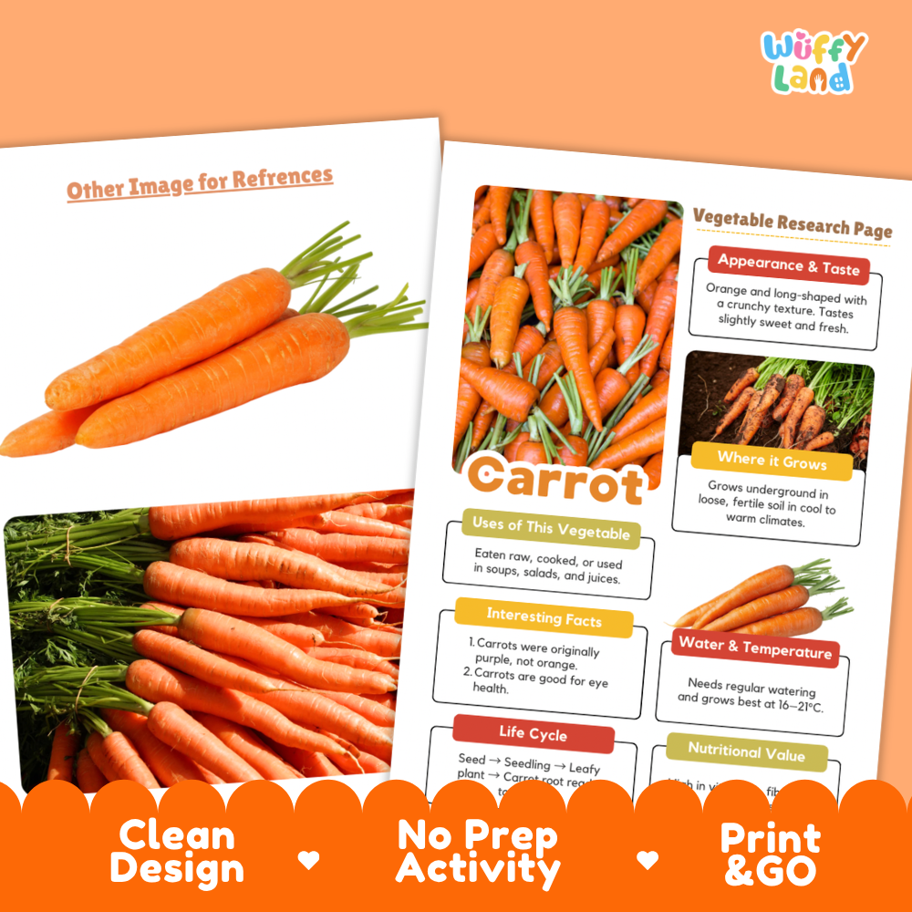 Carrot Vegetable Research Project Worksheets and Fact Sheet