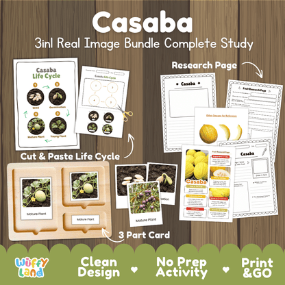 Casaba Life Cycle 3in1 real image bundle complete study overview featuring cut and paste worksheets, Montessori 3-part cards, and research pages from Wuffy Land 🍈🌱