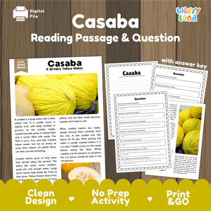 Casaba reading comprehension passage and questions printable activity pack with answer key for elementary students