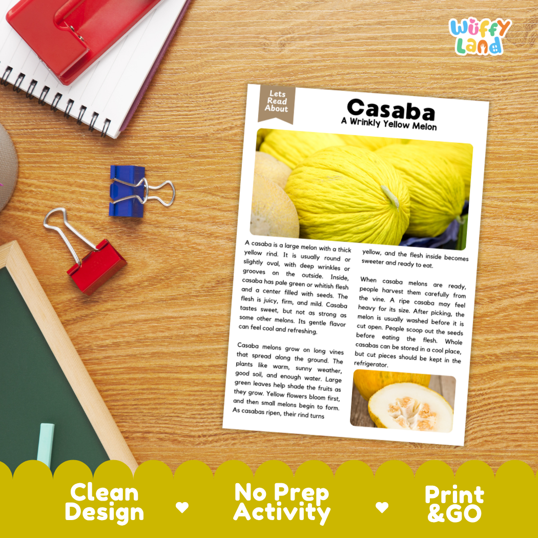 Student reading comprehension worksheet with short-answer questions and lined sections about the casaba melon fruit