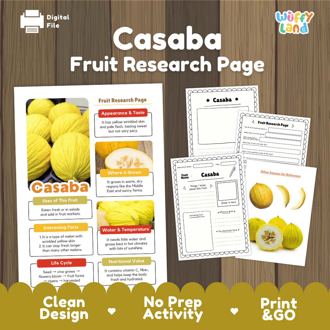 Casaba Fruit Research Page Worksheets and Fact Sheet