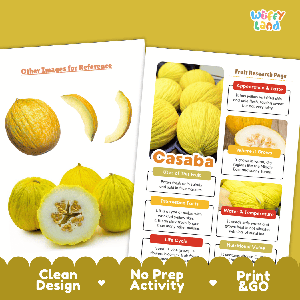 Casaba Fruit Research Page Worksheets and Fact Sheet