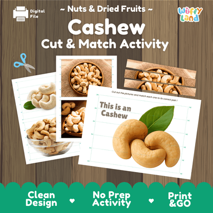 Cashew Cut and Match Activity Worksheets | Nuts and Dried Fruits Puzzle Printables