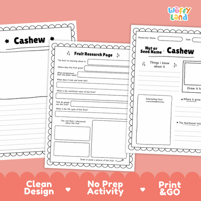 Three printable worksheet pages about cashew fruit are shown on a pink background with decorative scalloped borders and text reading 'Clean Design', 'No Prep Activity', and 'Print & GO'. The top right shows the brand name 'Wiffi Land'.