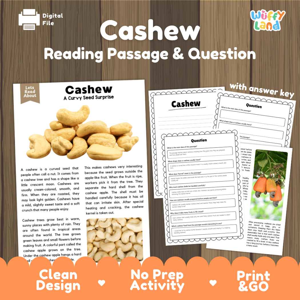 Cashew Reading Passage and Comprehension Questions Worksheets