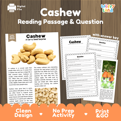 Cashew Reading Passage and Comprehension Questions Worksheets
