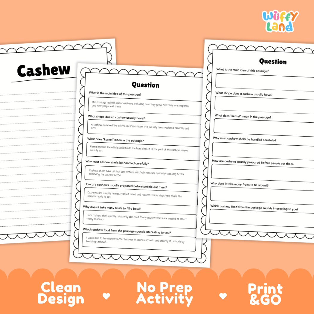 Three printable worksheet pages about the cashew shown on an orange background with promotional text reading 'Clean Design', 'No Prep Activity', and 'Print & GO'. The worksheets have a white page background with black text and bordered sections, and the brand name 'Wiffi Land' appears in the top right.