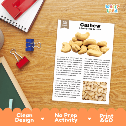 A children's educational activity sheet titled 'Cashew - A Curvy Seed Surprise' laid flat on a wooden desk. The sheet shows a photo of a cashew and text explaining the cashew tree and fruit.
