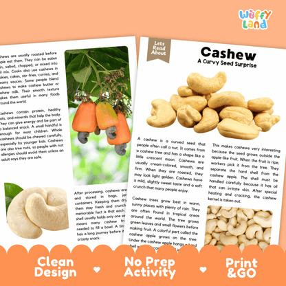 A children's activity booklet titled 'Cashew: A Curvy Seed Surprise' from the brand 'Wiffly Land'. The booklet features a colorful cover with a photo of a person peeling a cashew, along with text sections like 'Lets Read About', 'Clean Design', 'No Prep Activity', and 'Print & GO'.