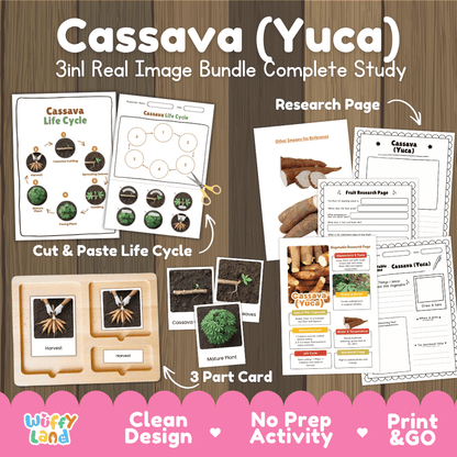 Cassava yuca 3in1 real image bundle complete study printable featuring life cycle cut and paste worksheets, Montessori 3-part cards, and research pages