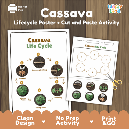 Cassava Lifecycle Poster and Cut and Paste Activity Worksheets | Plant Science Printables
