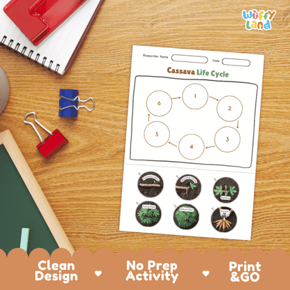 Cassava Lifecycle Poster and Cut and Paste Activity Worksheets | Plant Science Printables