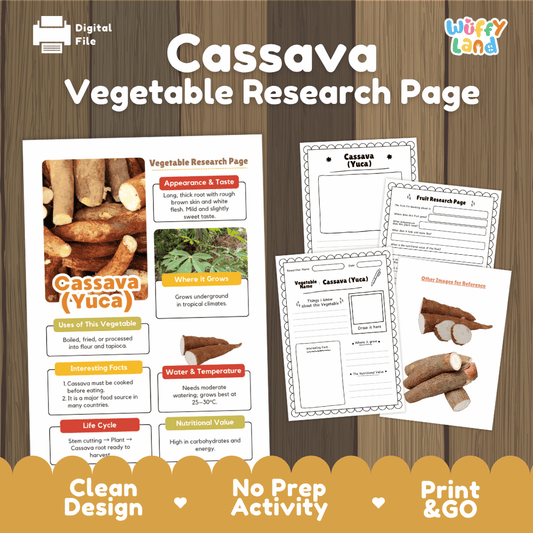Student root vegetable research page writing worksheets with real whole cassava yuca root photos, lined note-taking prompts, and drawing frames