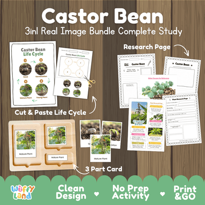Castor bean plant 3in1 real image bundle complete study printable featuring life cycle cut and paste worksheets, Montessori 3-part cards, and research pages