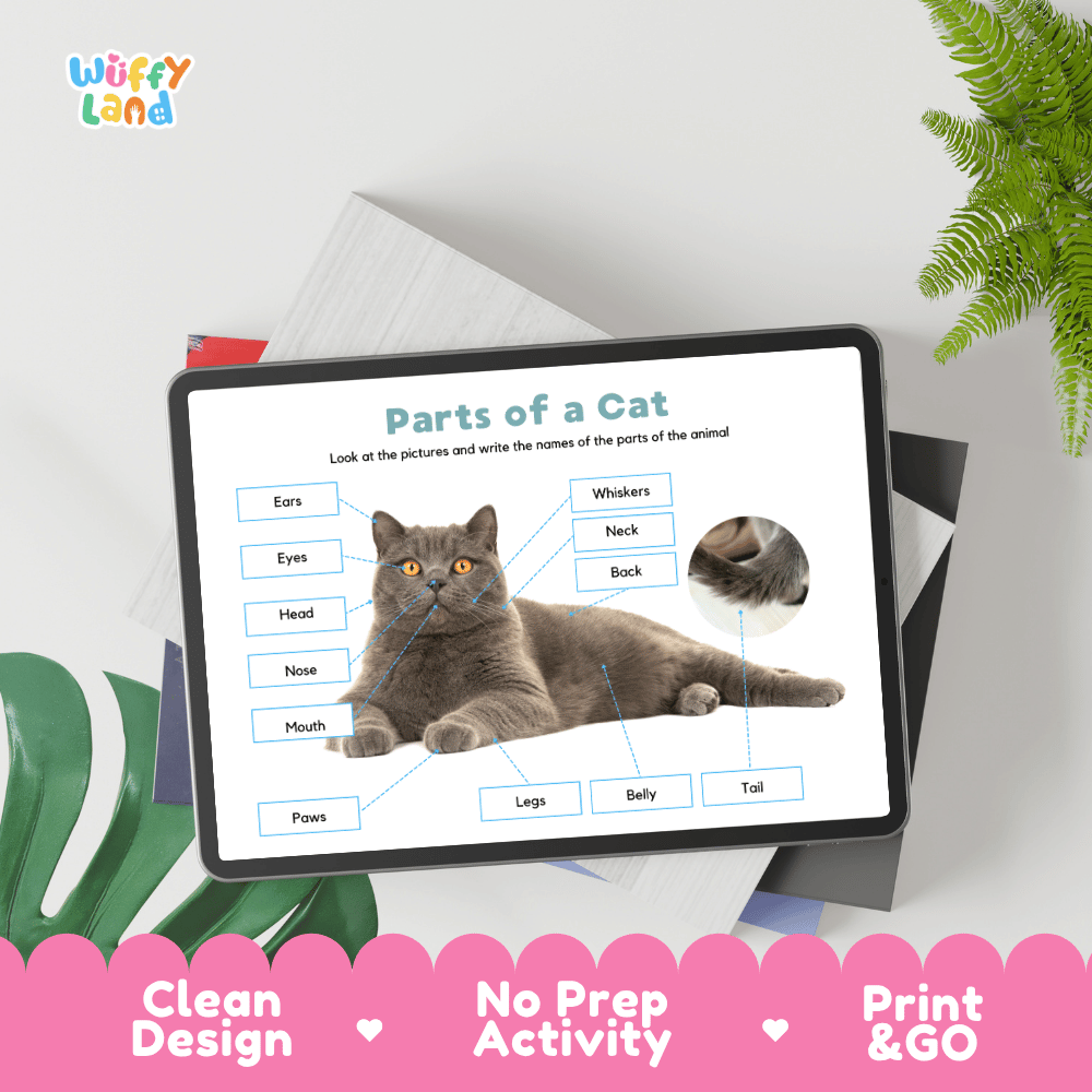 Educational cut and paste cat anatomy worksheet with printable word cutout tiles for head, ears, whiskers, paws, and tail