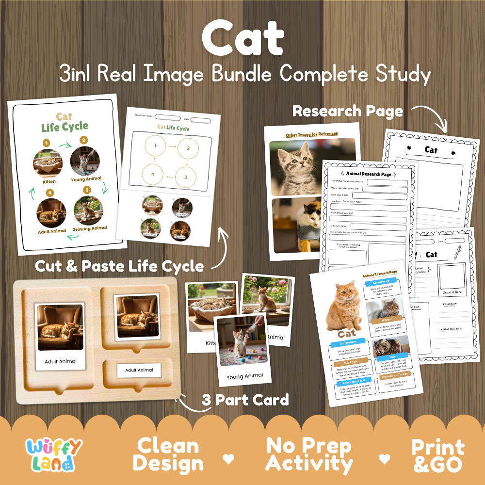 Cat 3-in-1 real image bundle complete study cover showing cut and paste life cycle, 3 part cards, and research pages