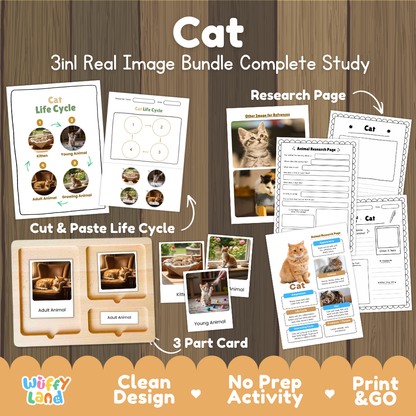 Cat 3-in-1 real image bundle complete study cover showing cut and paste life cycle, 3 part cards, and research pages