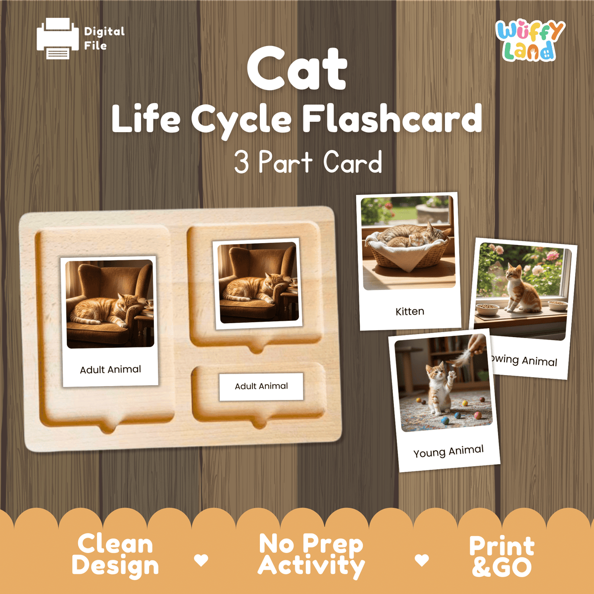 Montessori 3-part photo cards for cat life cycle shown on wooden tray paired with animal research report worksheets and reference photo page
