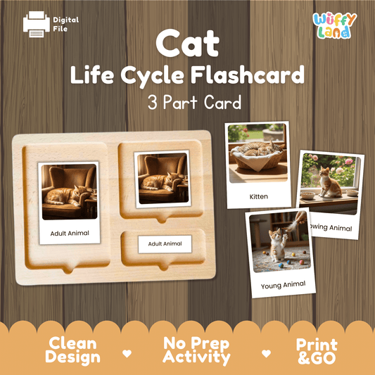 Montessori 3-part photo cards for cat life cycle shown on wooden tray paired with animal research report worksheets and reference photo page