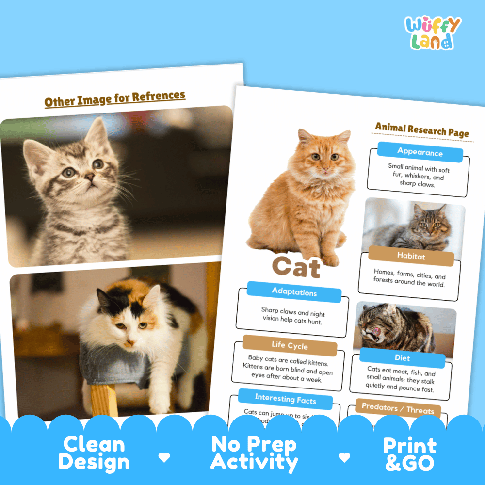 Two printed activity sheets for learning about cats are shown on a light blue background. The right sheet is the main product, featuring a large photo of an orange tabby cat and sections labeled Appearance, Habitat, Adaptations, Life Cycle, Diet, and Interesting Facts.