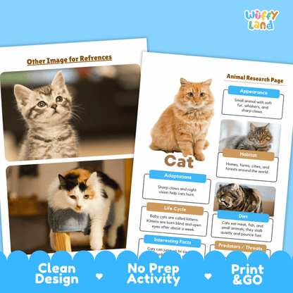 Two printed activity sheets for learning about cats are shown on a light blue background. The right sheet is the main product, featuring a large photo of an orange tabby cat and sections labeled Appearance, Habitat, Adaptations, Life Cycle, Diet, and Interesting Facts.