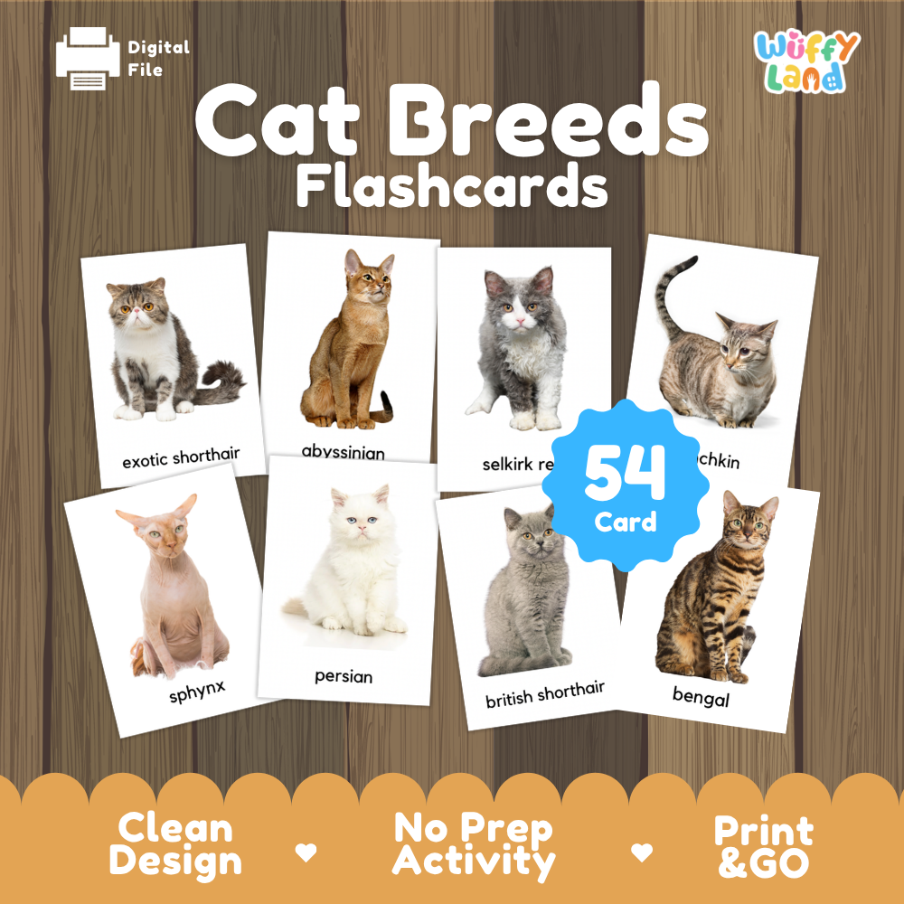 Digital flashcard set titled 'Cat Breeds Flashcards' on a wood-plank background, showing multiple breed cards with cat photos and labels, plus a blue badge reading '54 Card'.