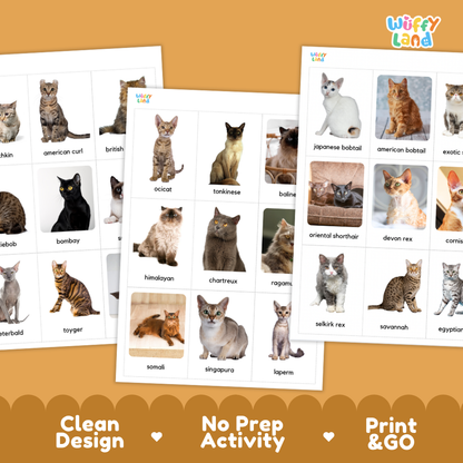 Three printed cat-themed activity sheets displayed on an orange background, with the brand name 'Wiffy Land' visible in the top right and bottom text reading 'Clean Design', 'No Prep Activity', and 'Print & GO'. The sheets contain photos of different cat breeds with names printed below each image.
