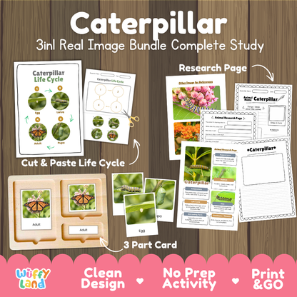 Caterpillar 3-in-1 real image bundle complete study cover showing cut and paste life cycle, 3 part cards, and research pages