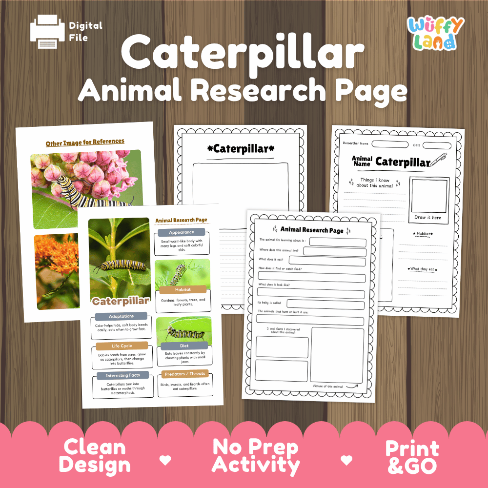 Caterpillar Animal Research Page Worksheets