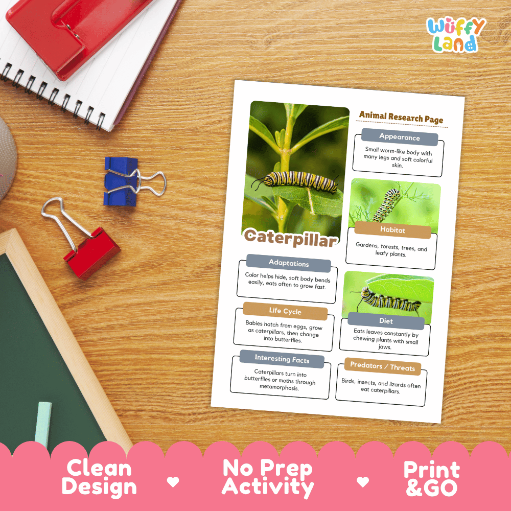 Caterpillar Animal Research Page Worksheets