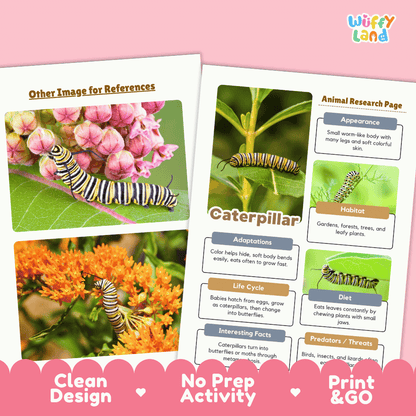 Caterpillar Animal Research Page Worksheets