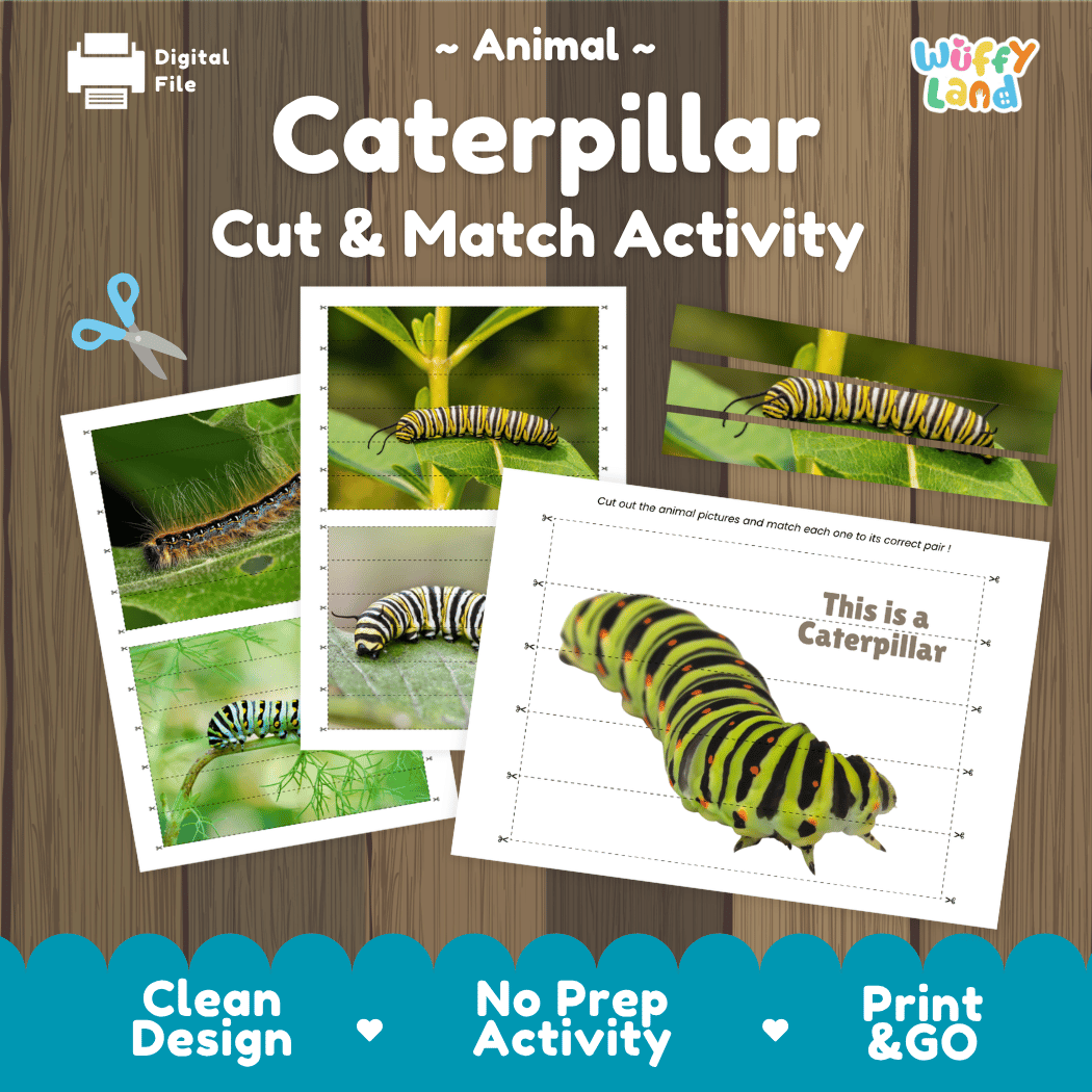Caterpillar Cut and Match Activity Printables Worksheets