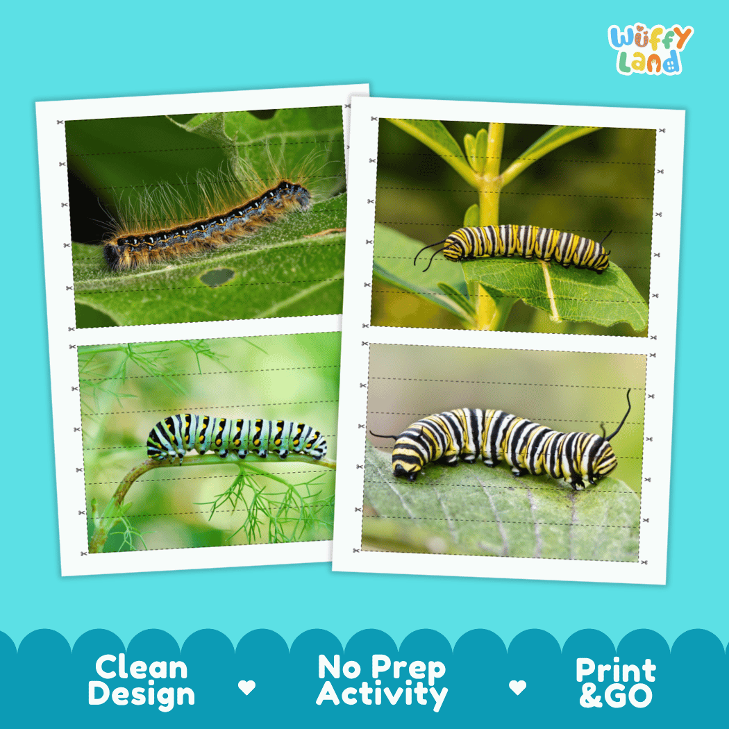 Caterpillar Cut and Match Activity Printables Worksheets
